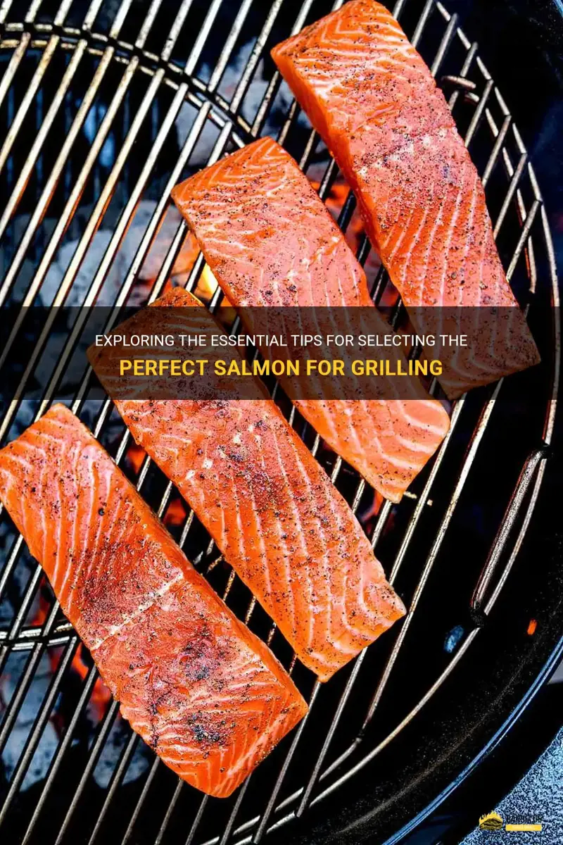Choosing the Best Salmon for Grilling: Cuts, Freshness, & Seasoning